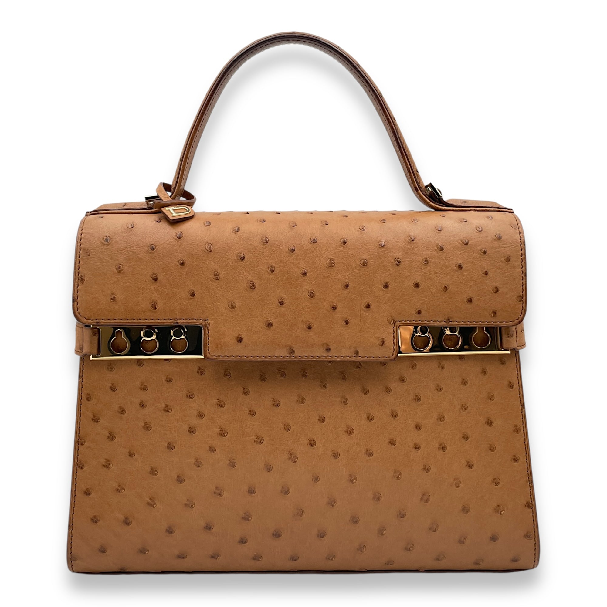 Tempete MM Brown Top Handle Bag in Ostrich Gold hardware