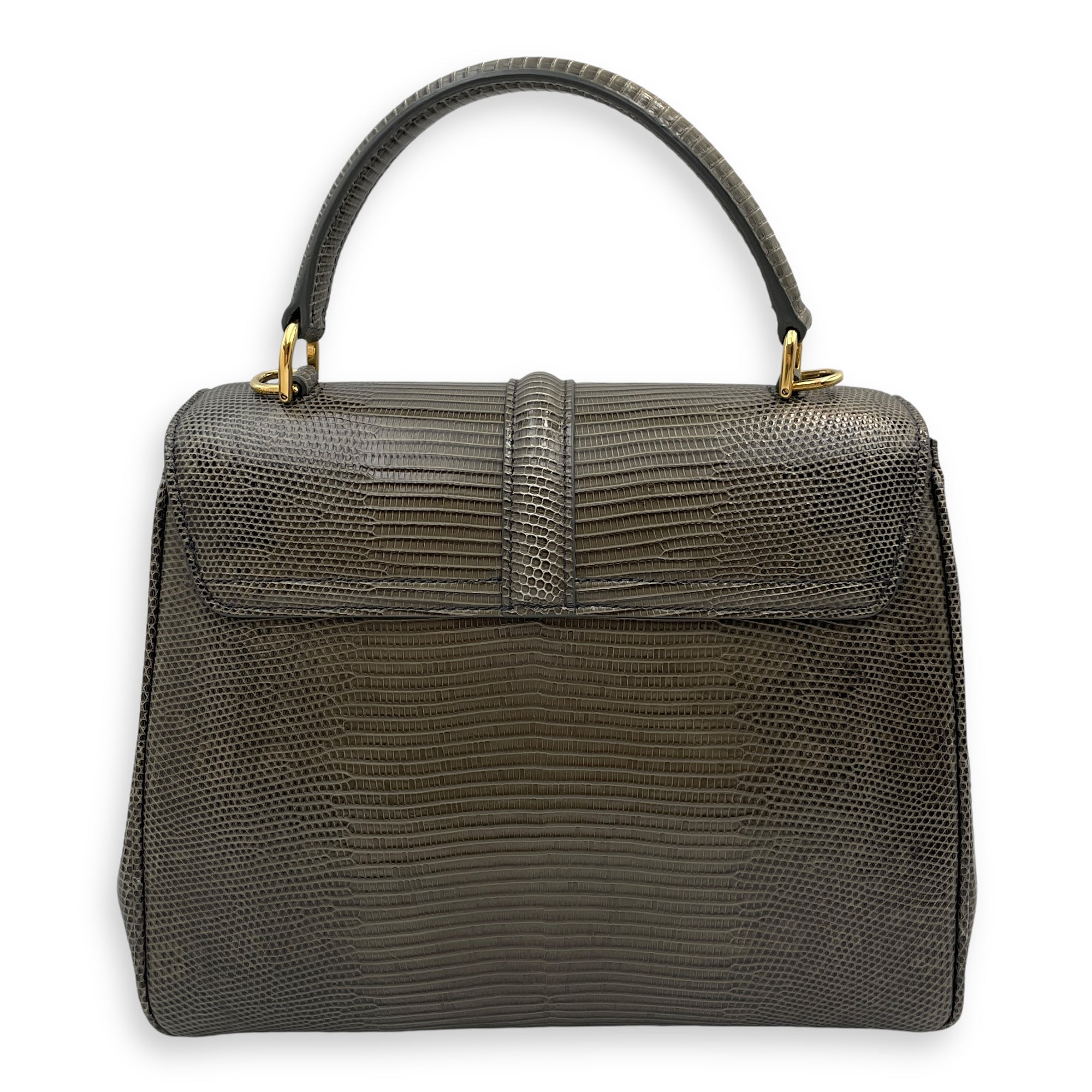 Small 16 Bag 23x18x10cm Grey Top Handle Bag in Water Monitor Lizard, Gold hardware