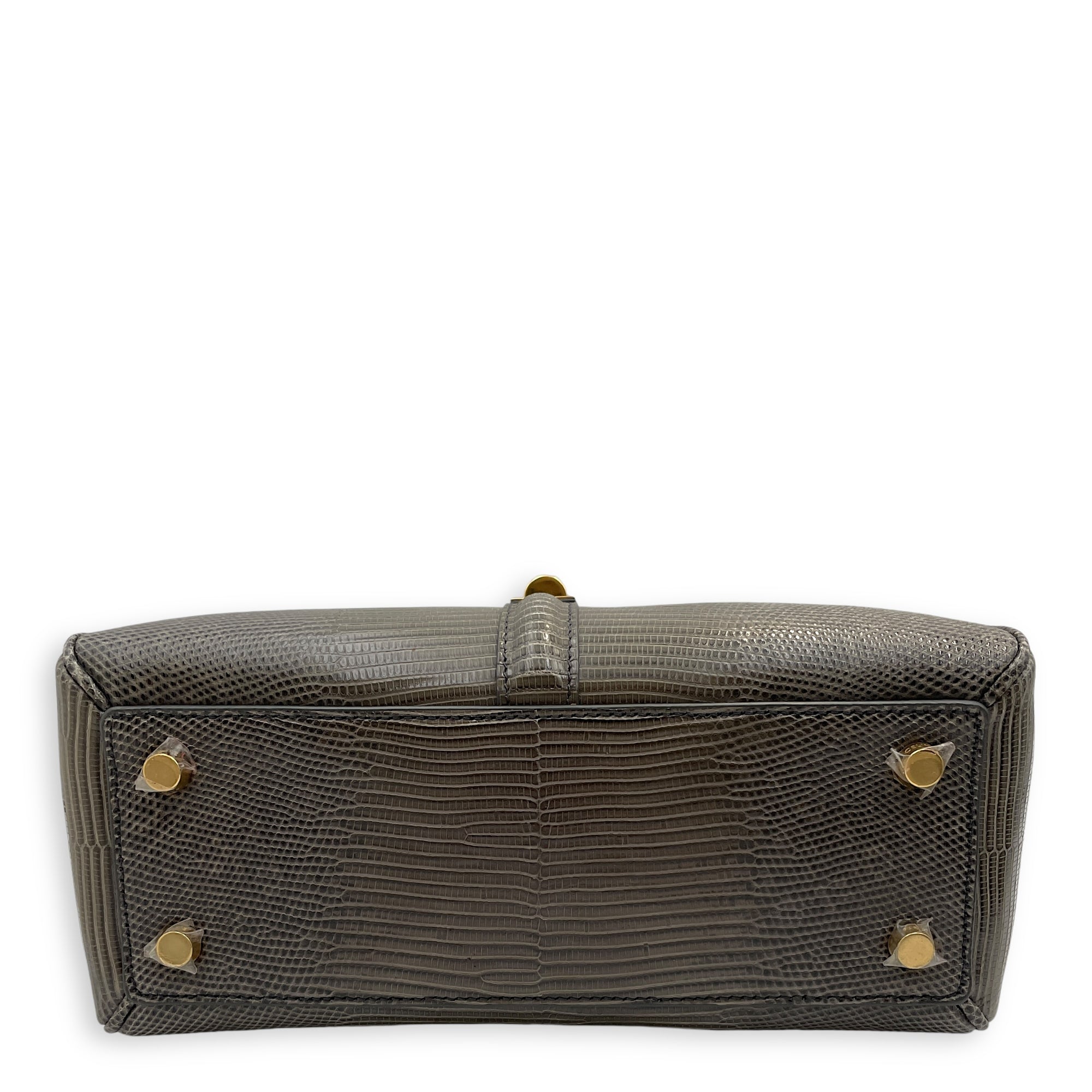 Small 16 Bag 23x18x10cm Grey Top Handle Bag in Water Monitor Lizard, Gold hardware