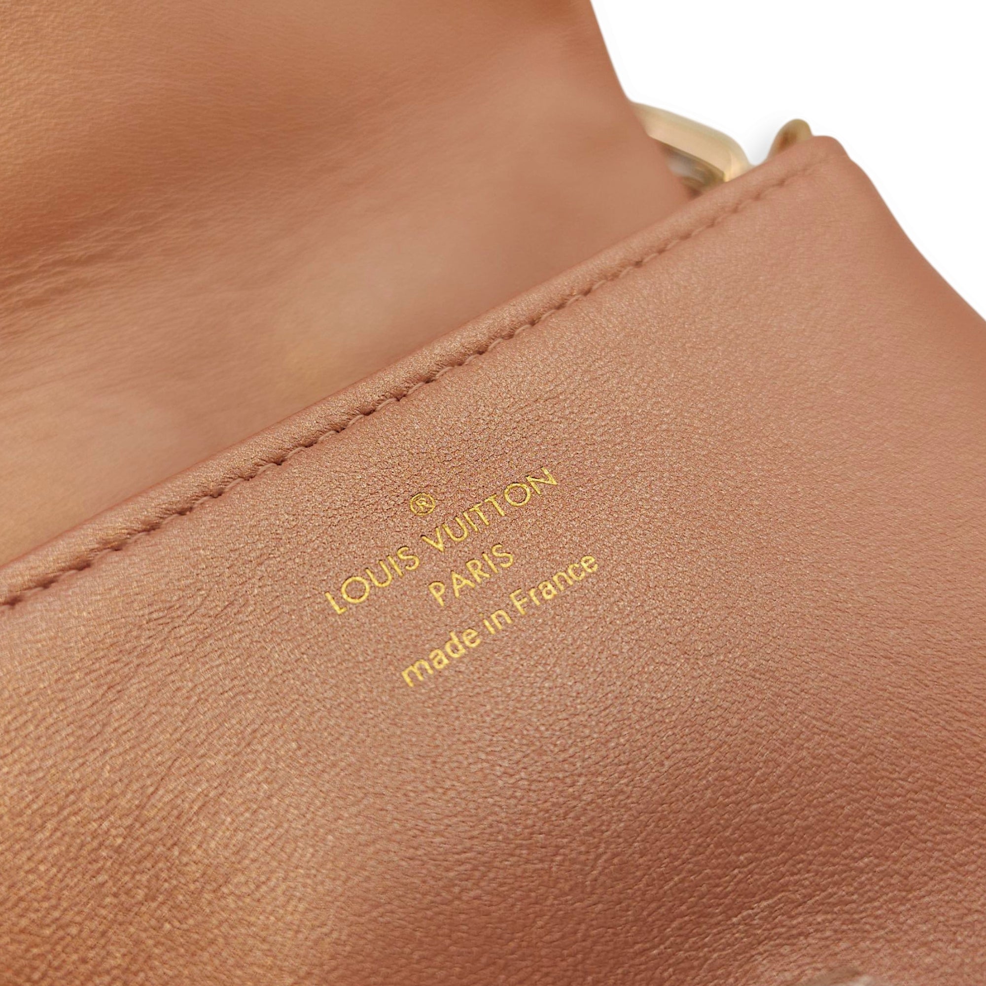 Coussin 13.5x10.5x2cm Gold Belt Bag in Empriente Leather, Gold hardware