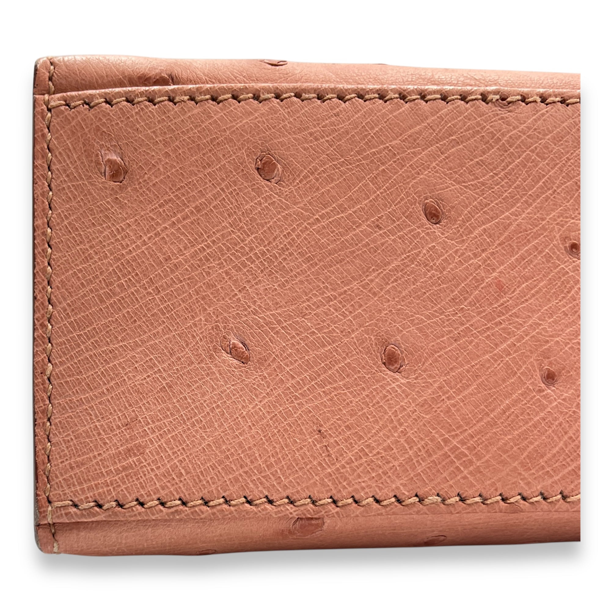 Kelly Pochette Terre Cuite in Ostrich, Palladium hardware