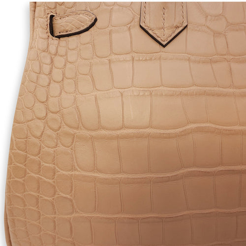 Birkin 25 Chai in Matte Alligator, Gold hardware