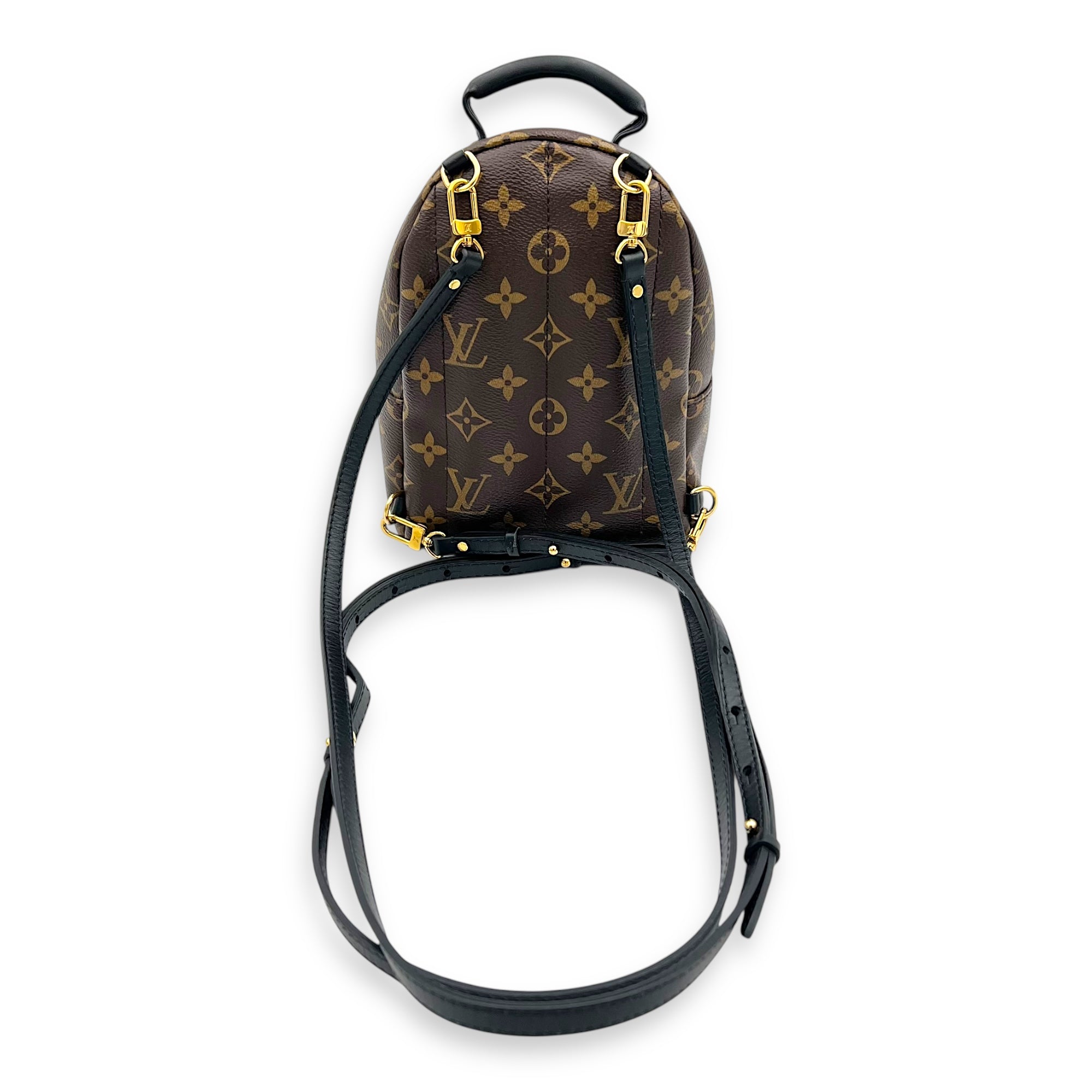 Palm Springs Mini Brown Backpack in Monogram Coated Canvas, Gold hardware