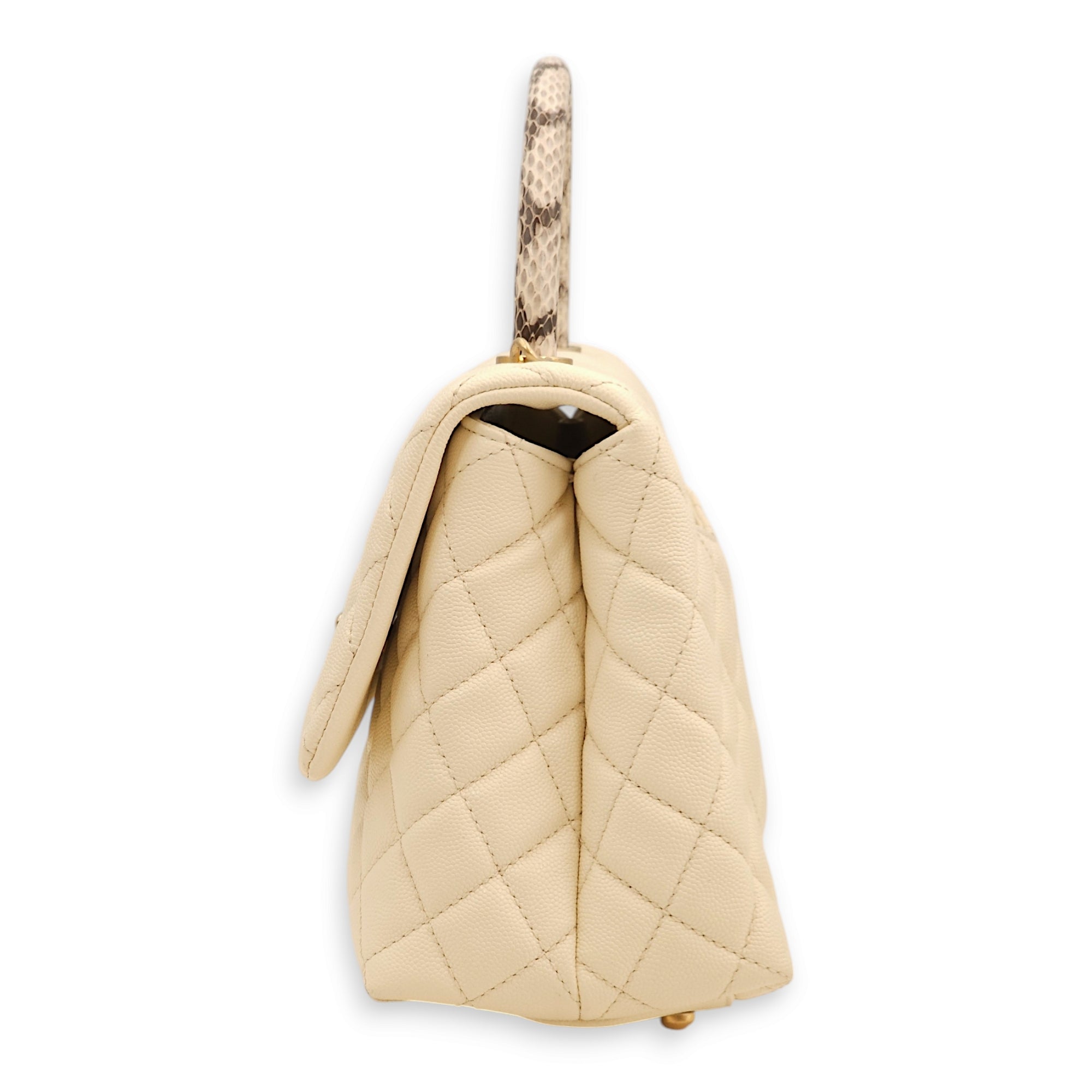 Coco Off-white, ombré handle Top Handle Bag in Caviar/Python, Gold hardware