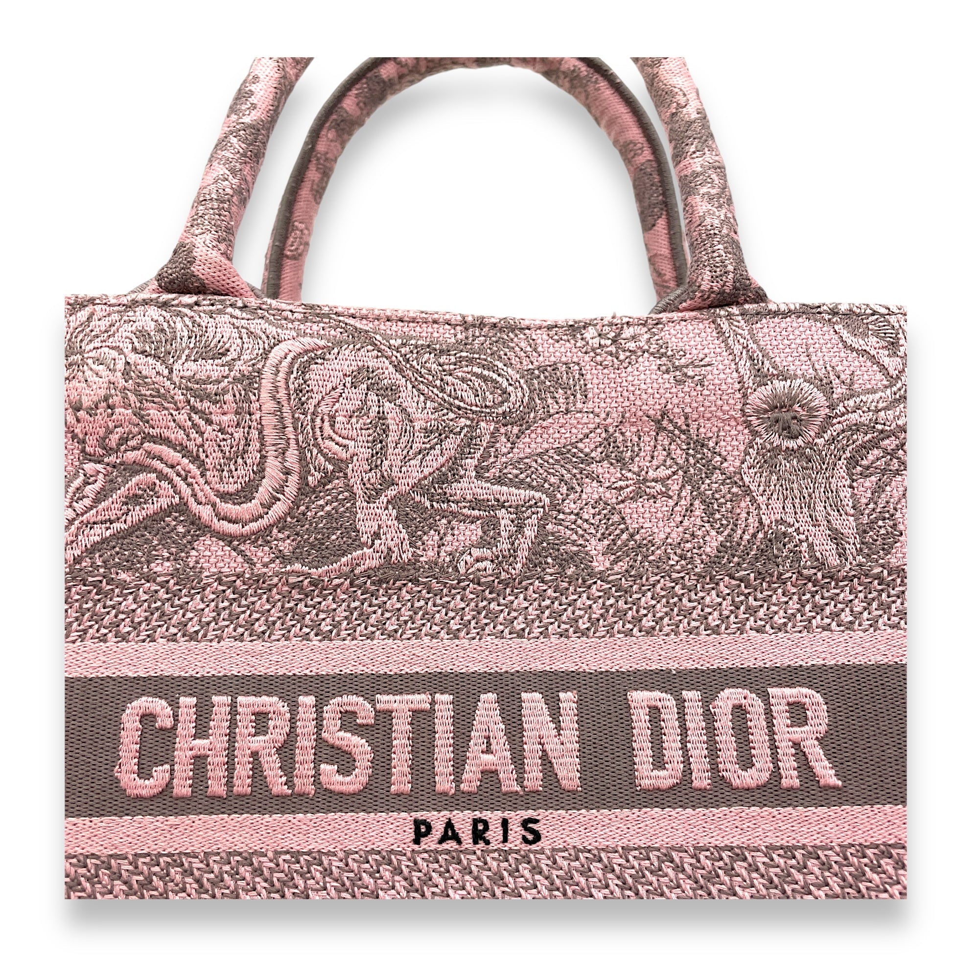 Book Tote Small Pink Top Handle Bag in Canvas
