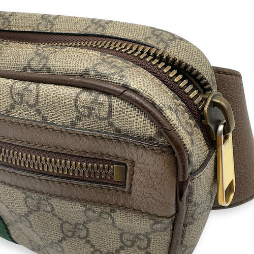 Gucci Ophidia Crossbody Bag Brown in Coated Canvas, Gold hardware_1