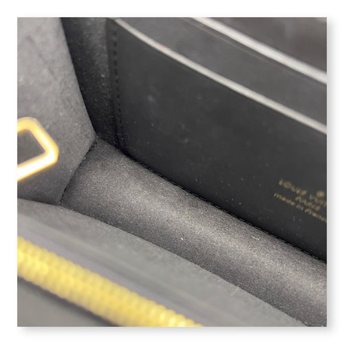 Louis Vuitton Dauphine Belt Bag Brown in Monogram Coated Canvas, Gold hardware_8