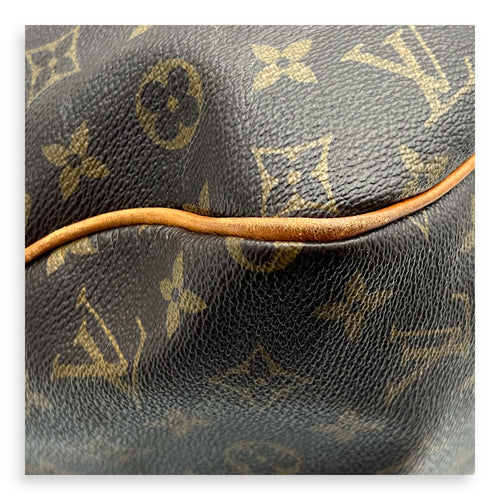 Delightful Shoulder Bag GM Brown in Monogram Coated Canvas, Gold hardware
