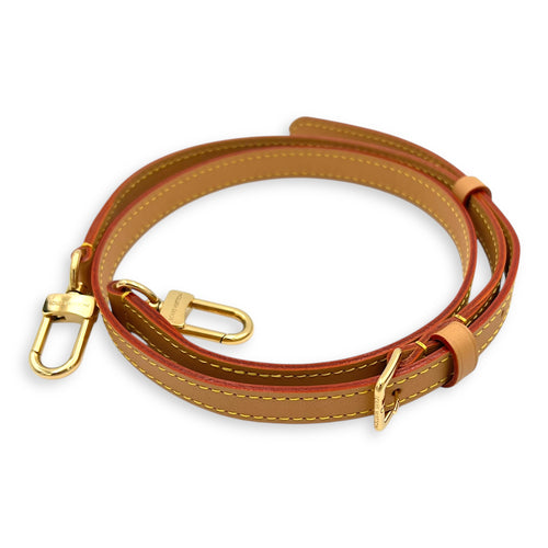 Speedy Crossbody Bag Nano Brown in Monogram Coated Canvas, Gold hardware