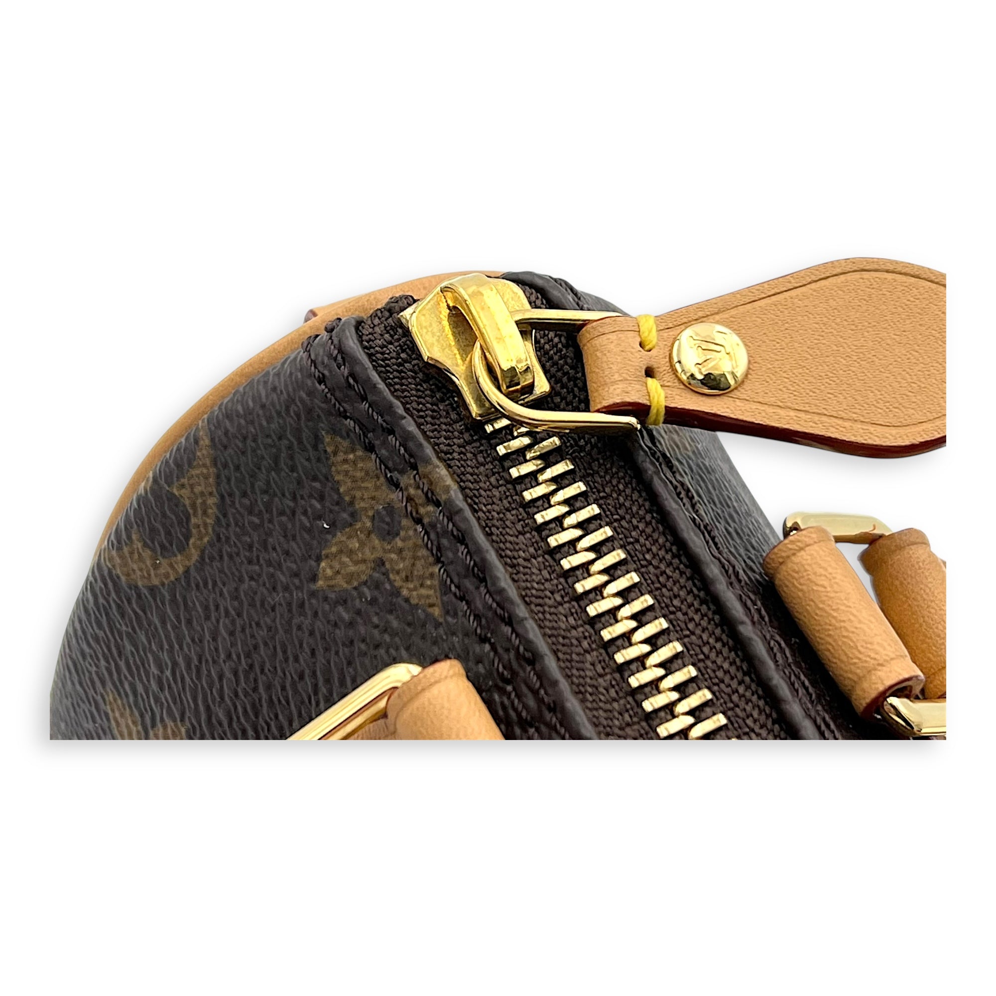 Speedy Crossbody Bag Nano Brown in Monogram Coated Canvas, Gold hardware