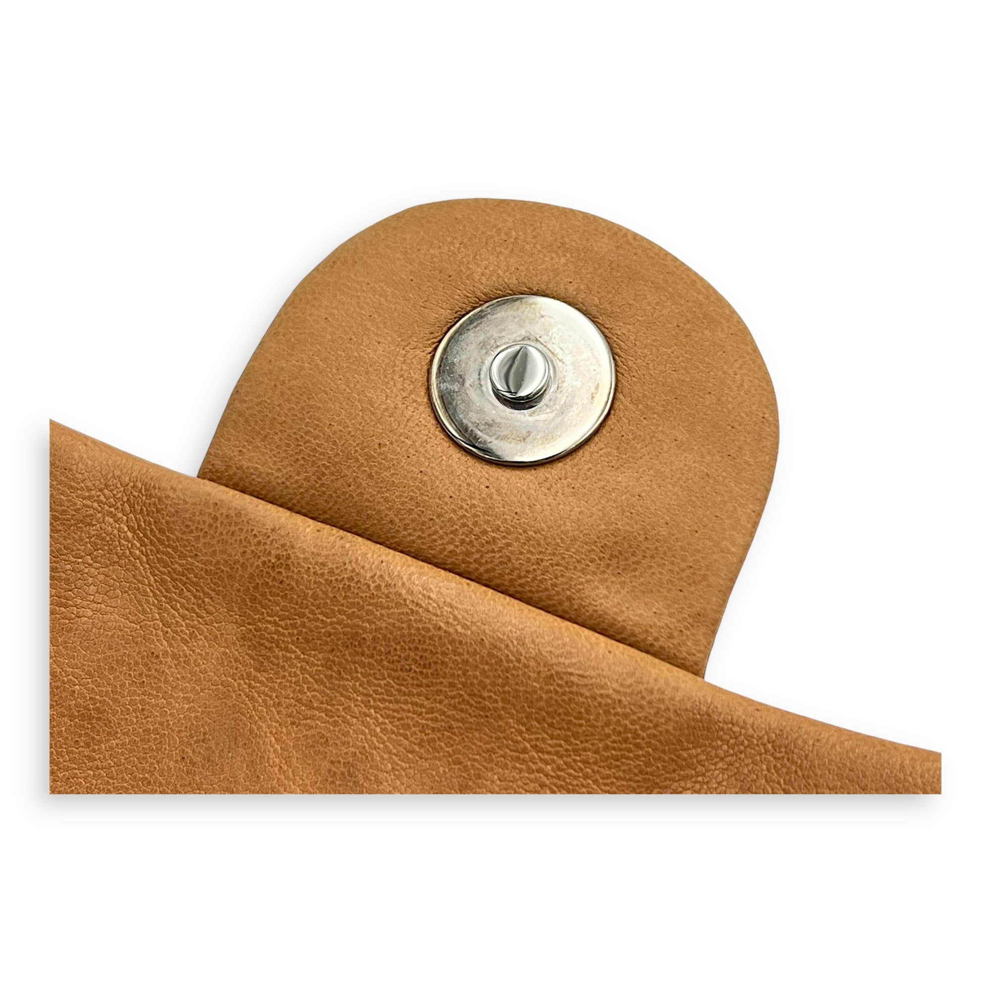 Chain Around Shoulder Bag Brown in Calfskin, Silver hardware