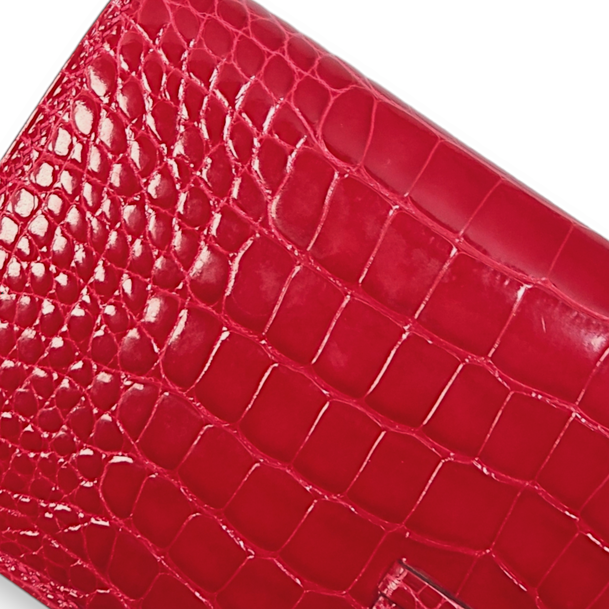 Bearn Bi-fold Braise Wallet in Shiny Alligator, Gold hardware