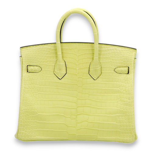 Birkin 25 Jaune Bourgeon in Matte Porosus, Palladium hardware