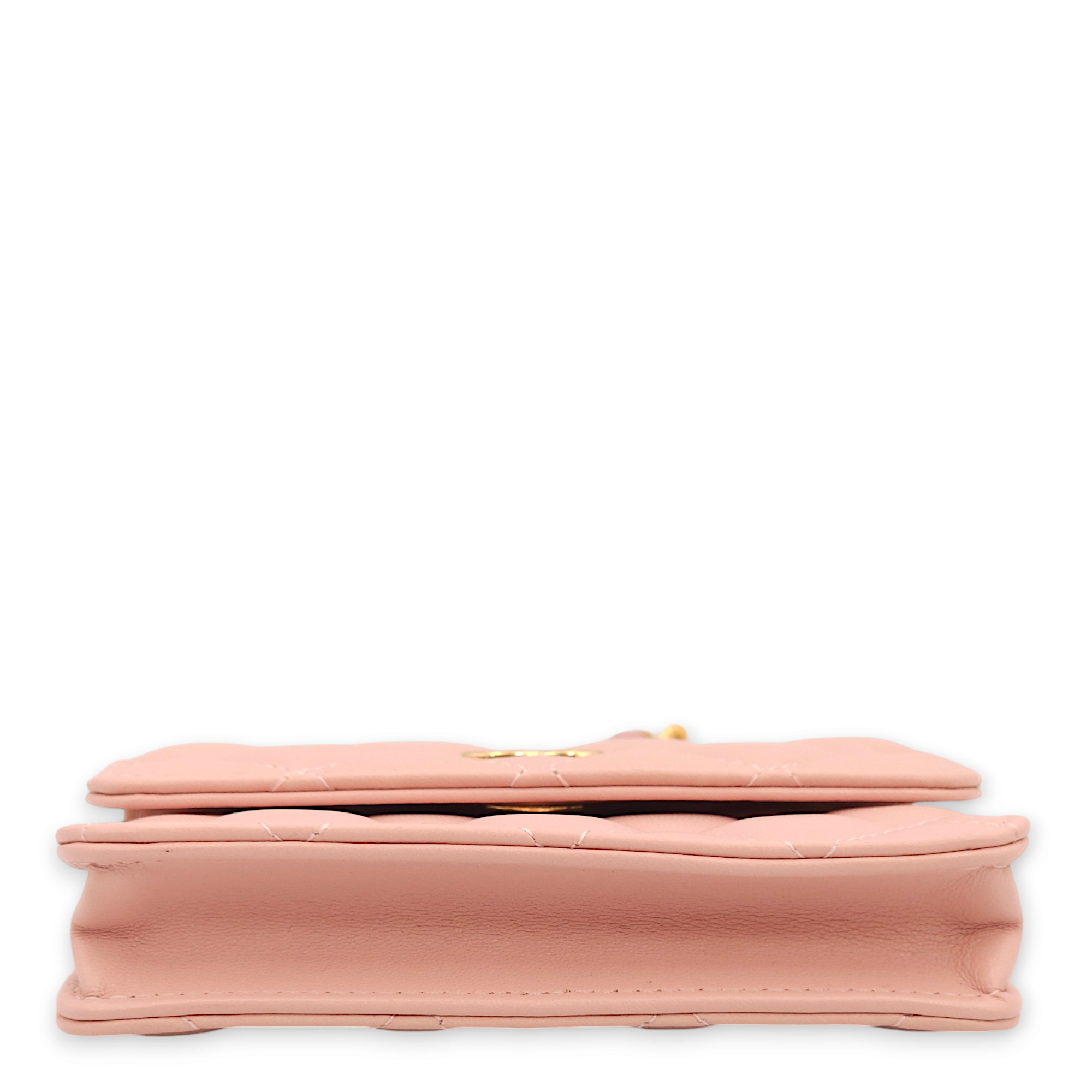 Mini Chain Pink /Pink/Grey Clutch in Lambskin, Gold hardware