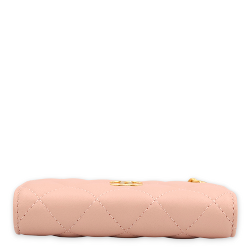 Mini Chain Pink /Pink/Grey Clutch in Lambskin, Gold hardware