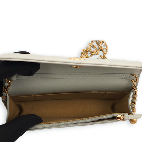 Pearl Crush On Chain Grey Clutch in Lambskin, Gold hardware