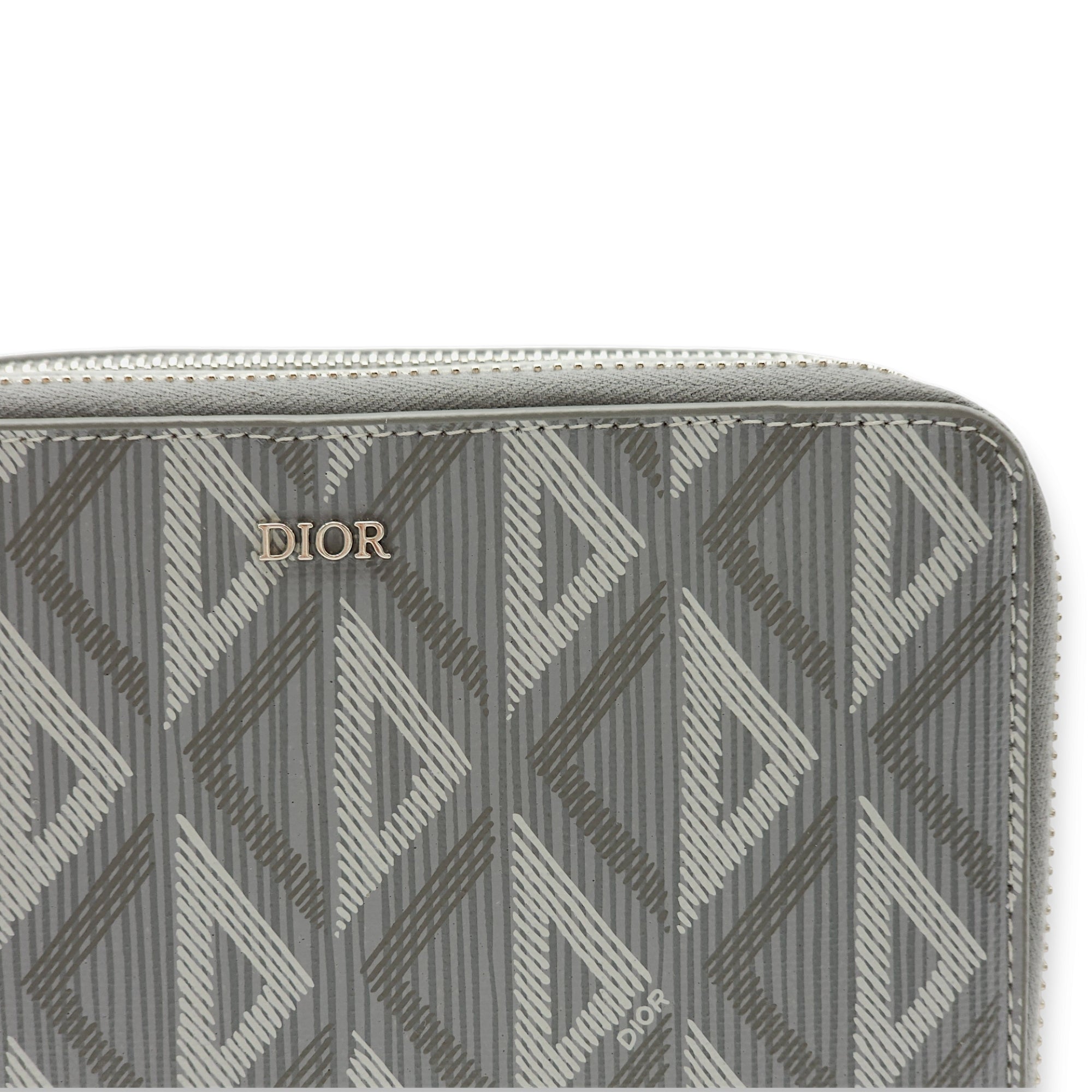 Zipped Pouch  Others Grey Crossbody Bag in Coated Canvas Palladium hardware CL2407-4016 11