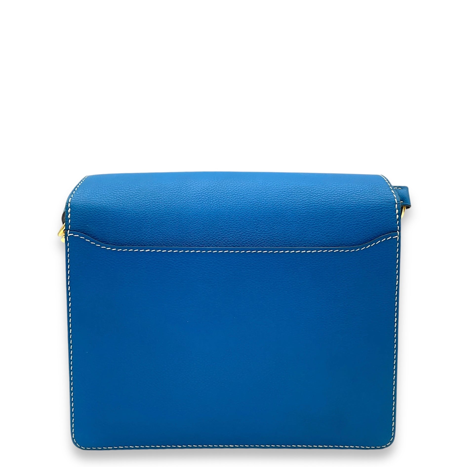 Roulis Others Blue Hydra in Evercolor Permabrass hardware