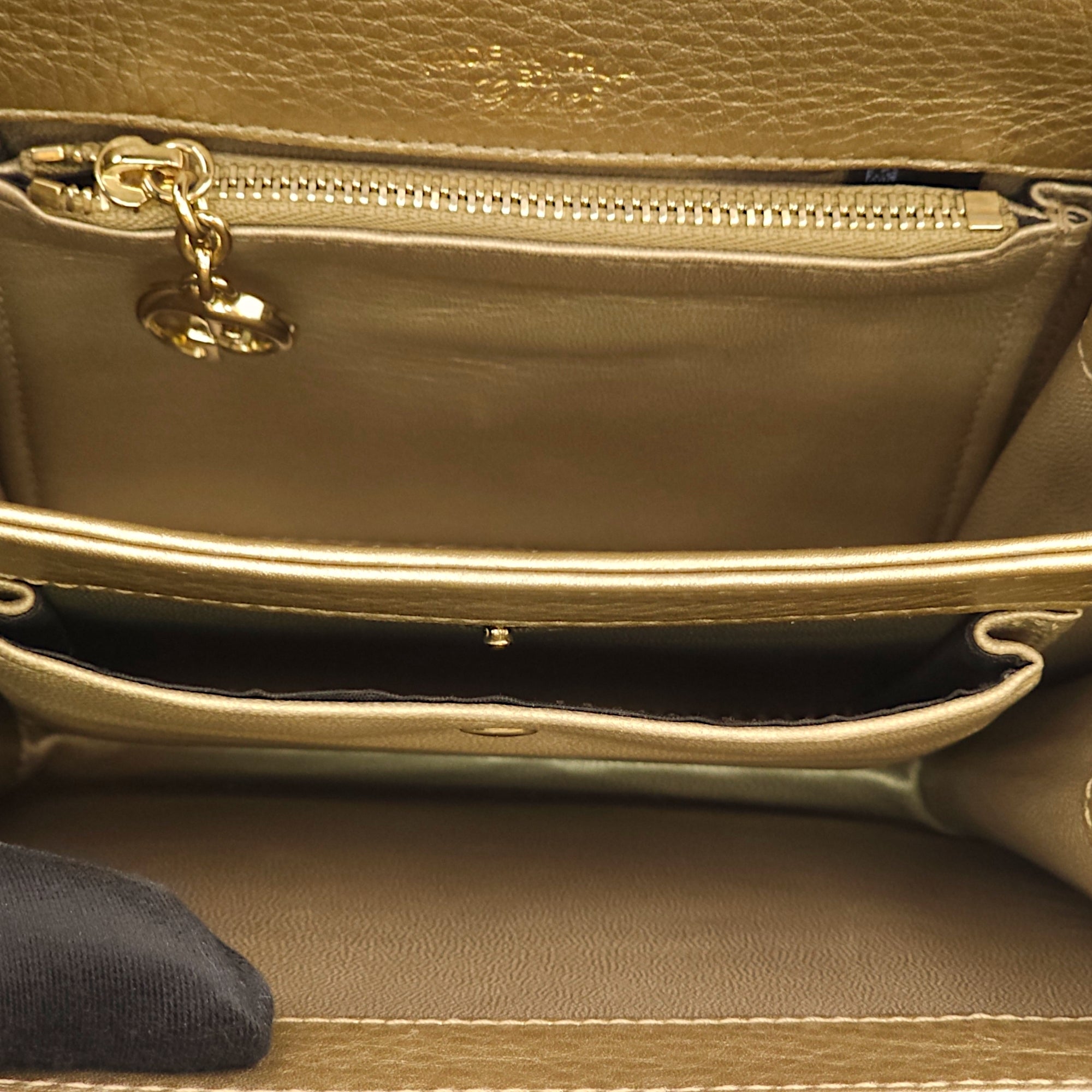 GG Gold Top Handle Bag in Python Leather, Gold hardware