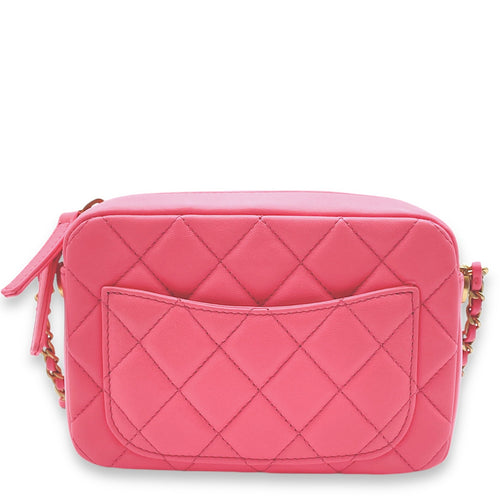 Pearl Crush Camera Others Pink Crossbody Bag in Lambskin Gold hardware