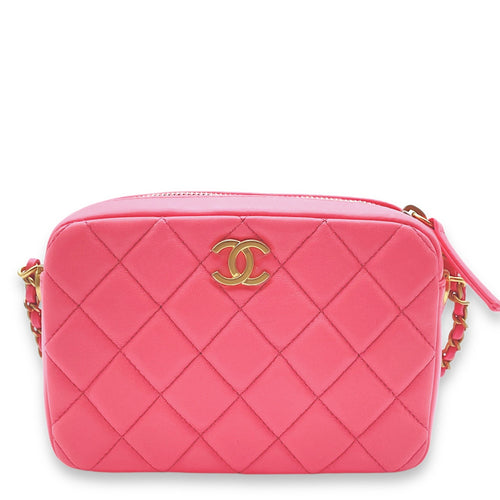 Pearl Crush Camera Others Pink Crossbody Bag in Lambskin Gold hardware