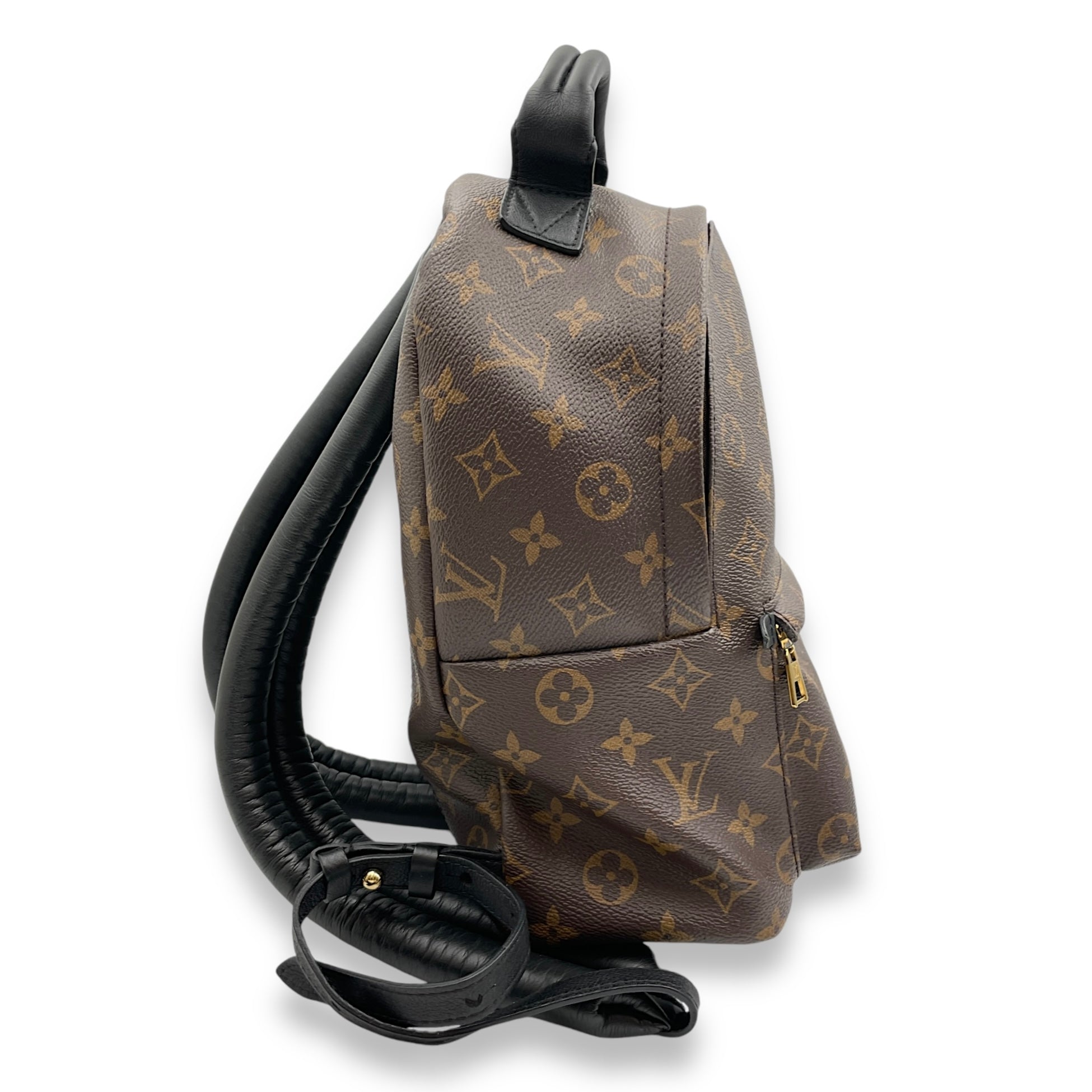 Palm Spring PM Monogram Backpack in Canvas, Gold hardware