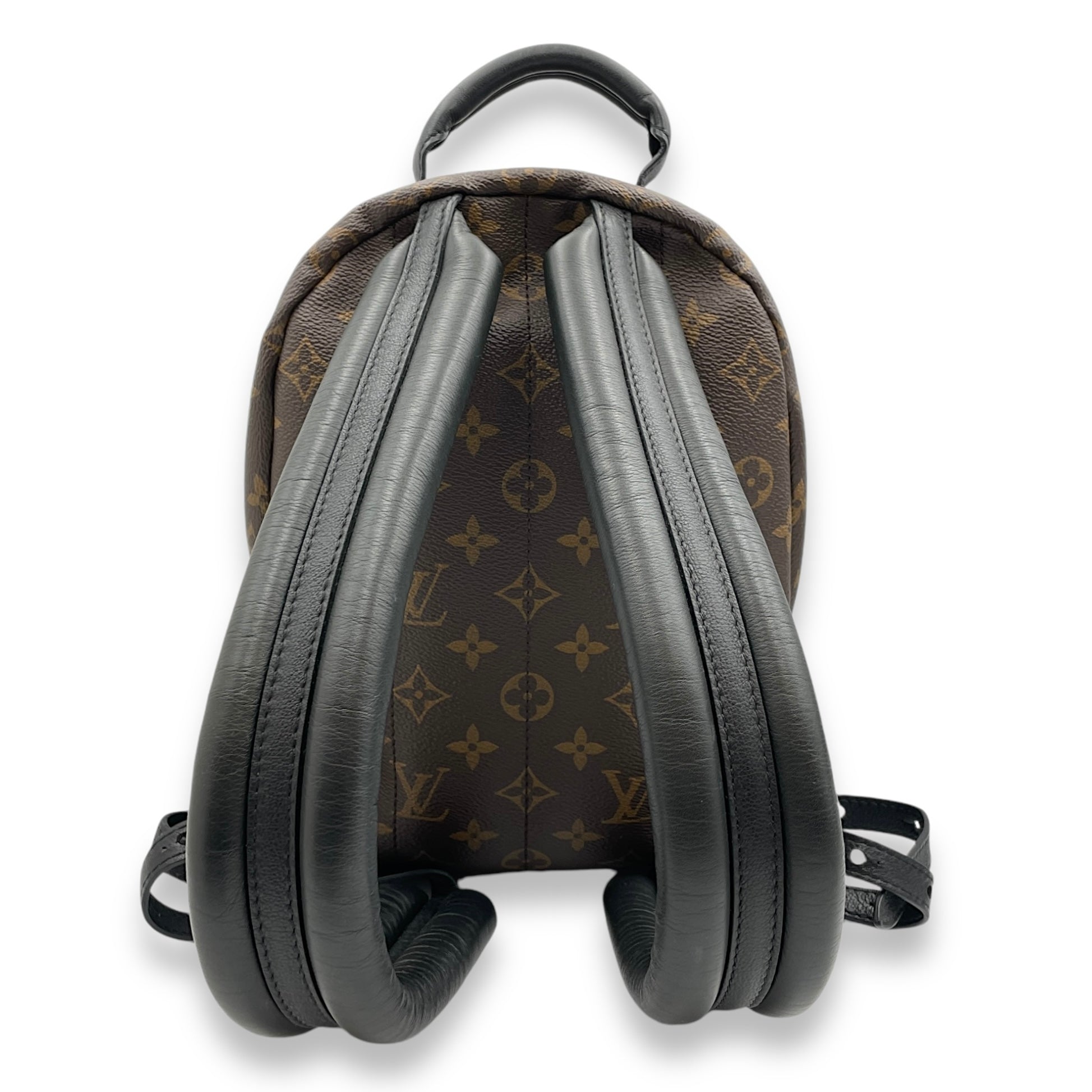 Palm Spring PM Monogram Backpack in Canvas Gold hardware