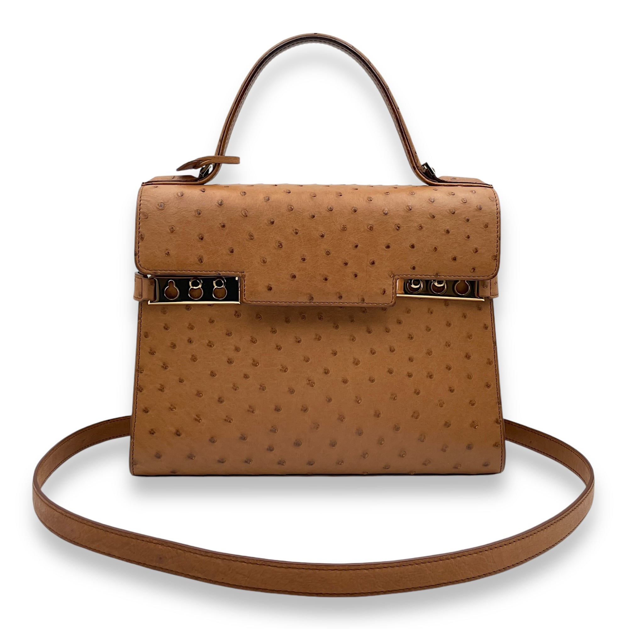 Tempete MM Brown Top Handle Bag in Ostrich, Gold hardware