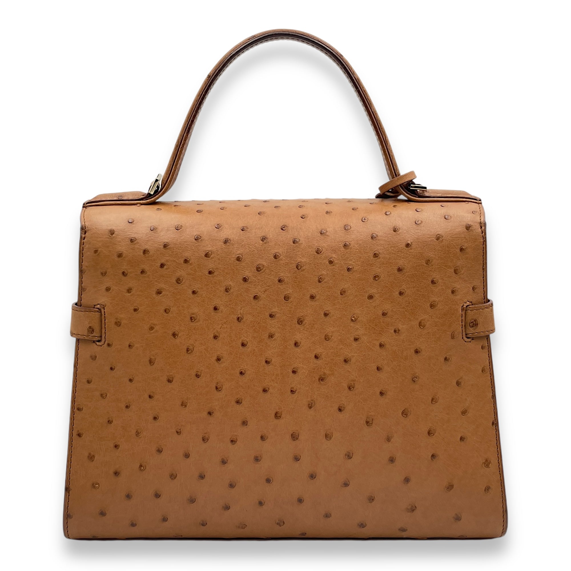 Tempete MM Brown Top Handle Bag in Ostrich, Gold hardware