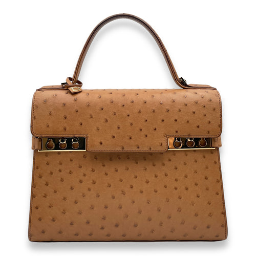 Tempete MM Brown Top Handle Bag in Ostrich, Gold hardware