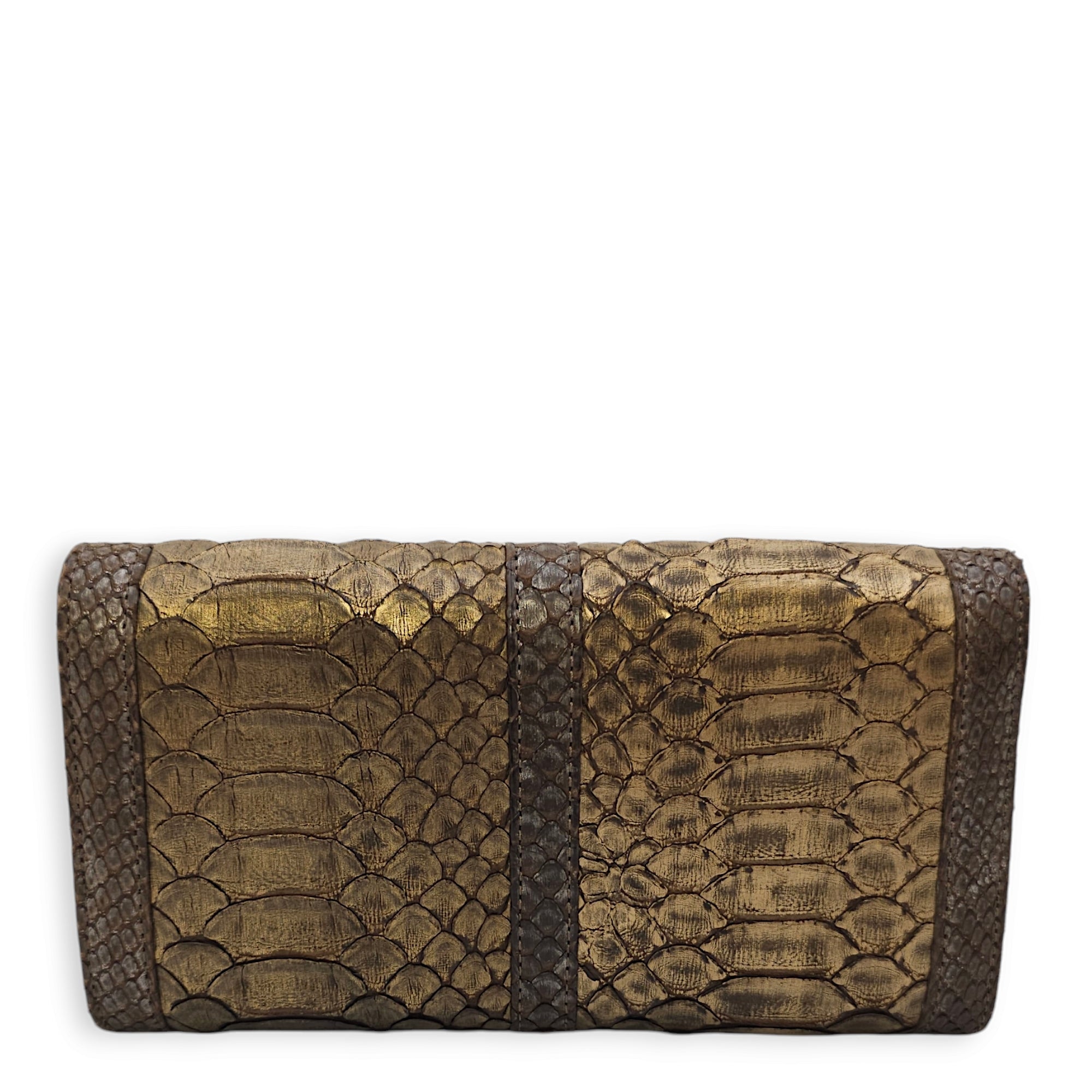 Sweet Charity Others Bronze Clutch in Python Leather Silver hardware C90495 2