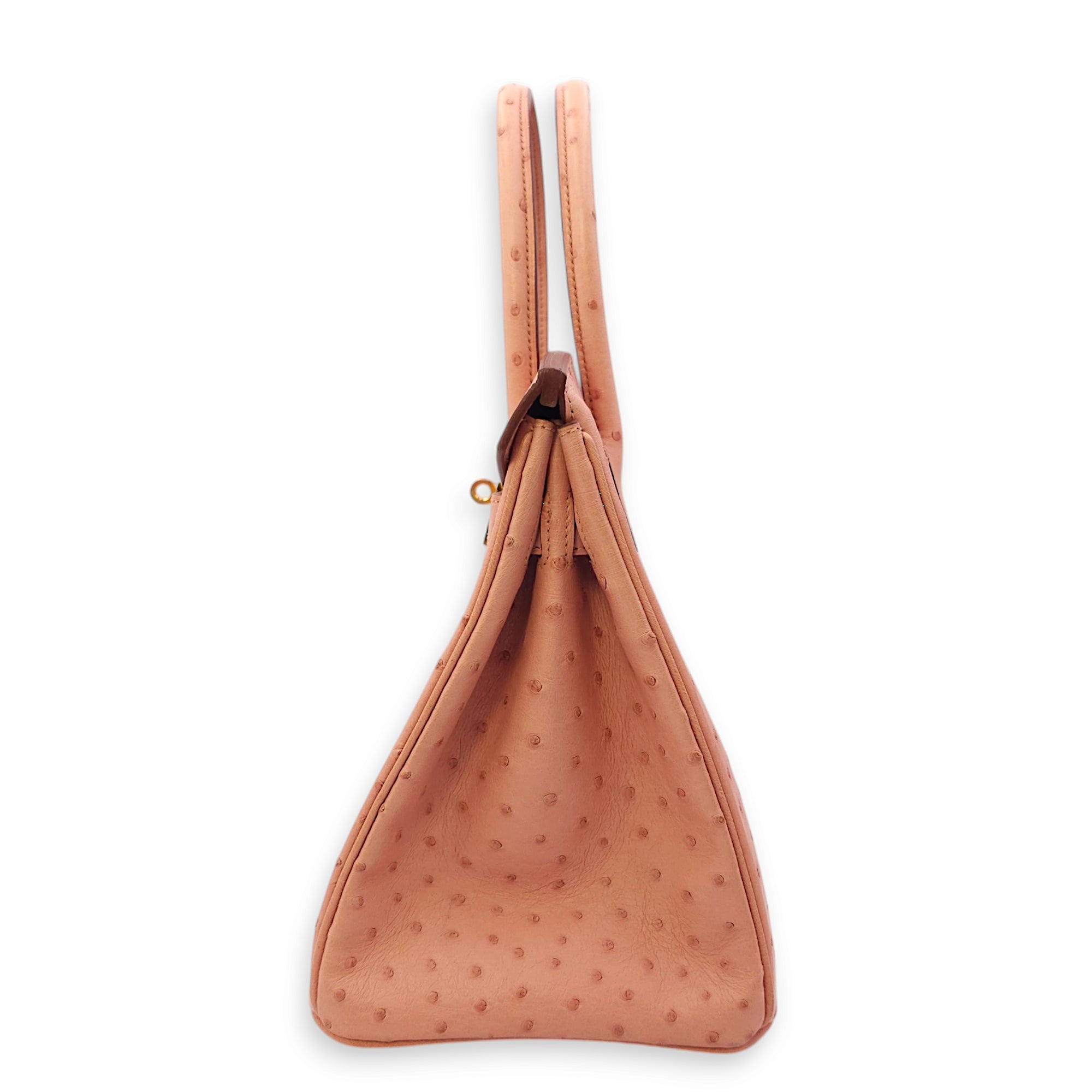 Birkin 30 Terre Cuite in Ostrich Gold hardware CL2405-1249 4