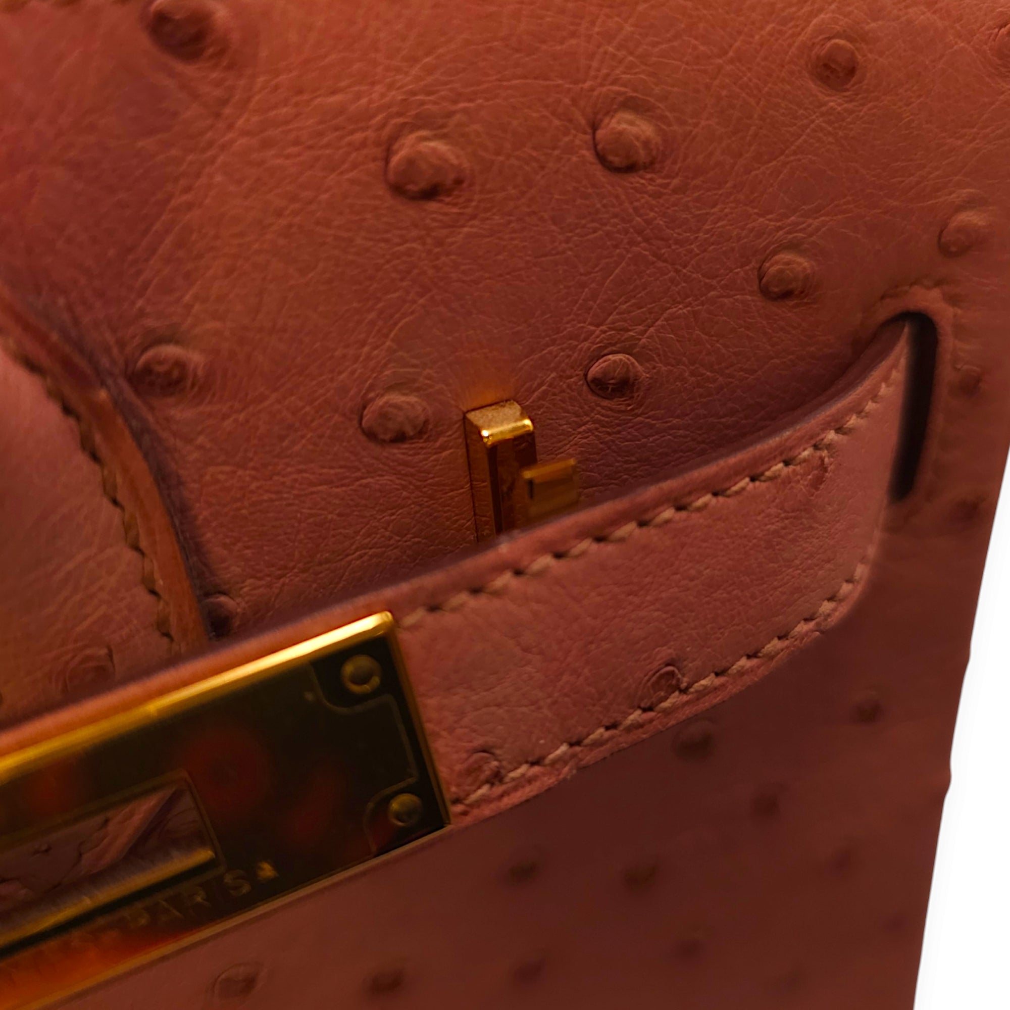 Birkin 30 Terre Cuite in Ostrich Gold hardware CL2405-1249 9
