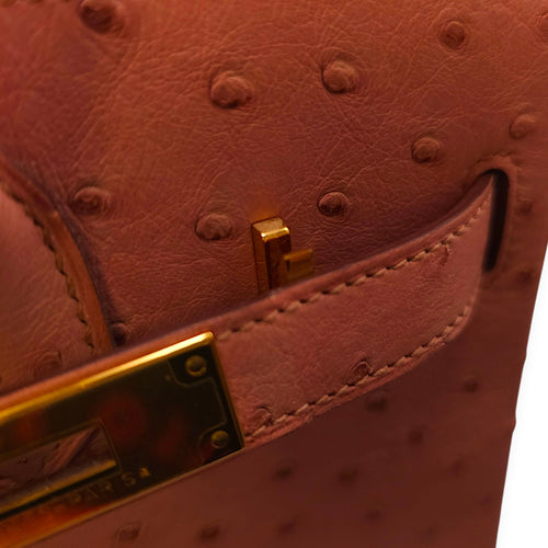 Birkin 30 Terre Cuite in Ostrich Gold hardware CL2405-1249 9