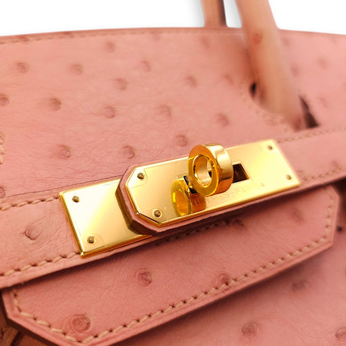 Birkin 30 Terre Cuite in Ostrich Gold hardware CL2405-1249 7