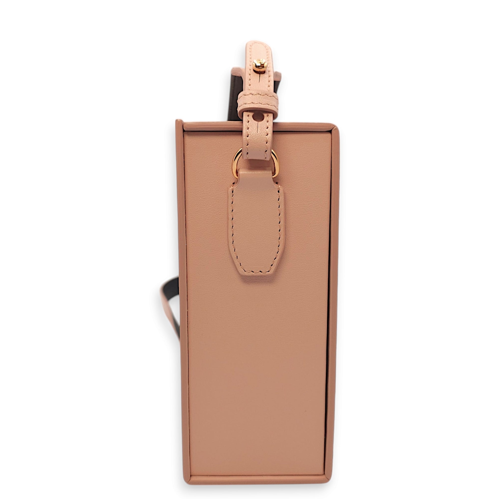 Roma Vertical Box Pink Crossbody Bag in Calfskin Gold hardware CL2412-8325 4