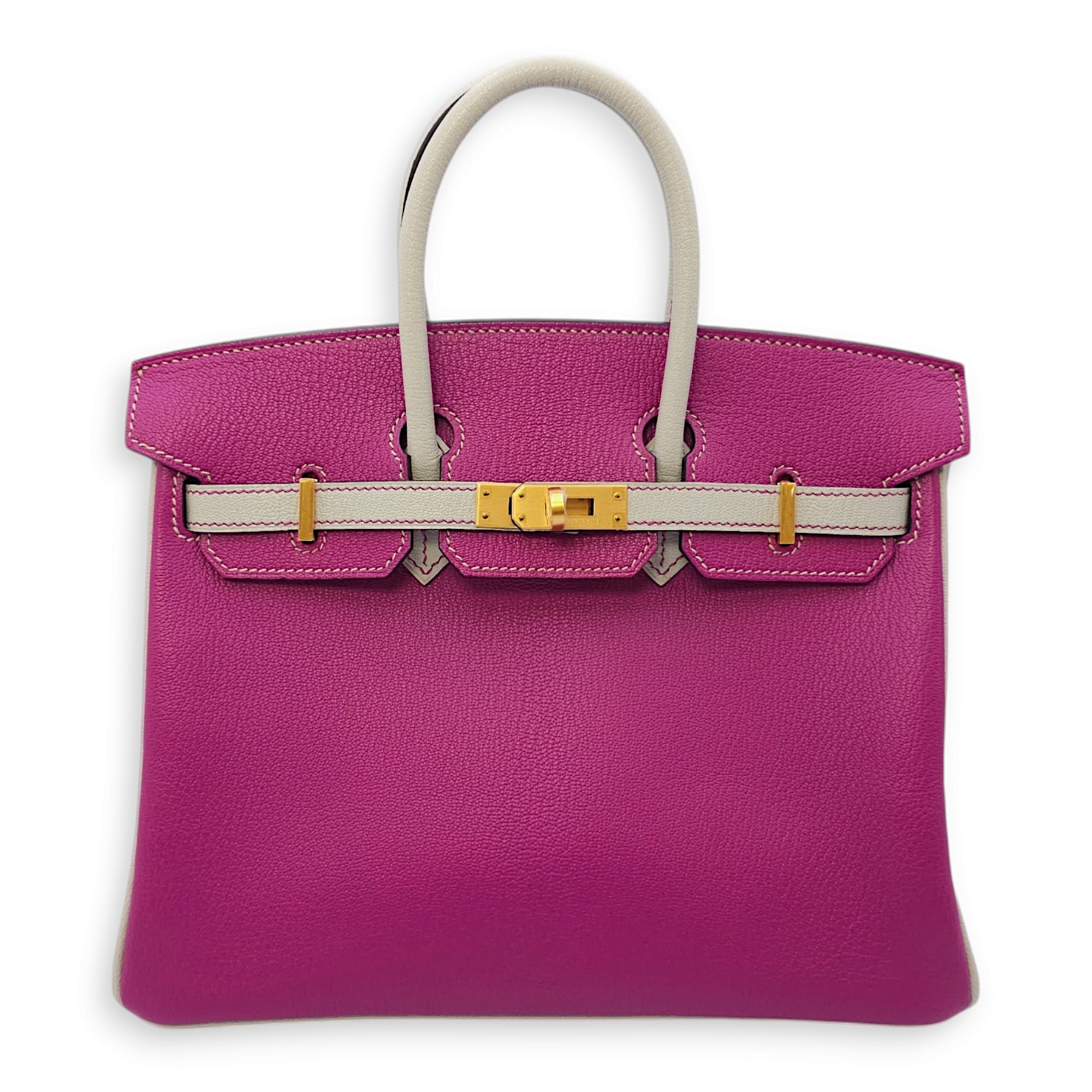 Birkin 25 Purple in Chevre Mysore, Brushed Gold hardware