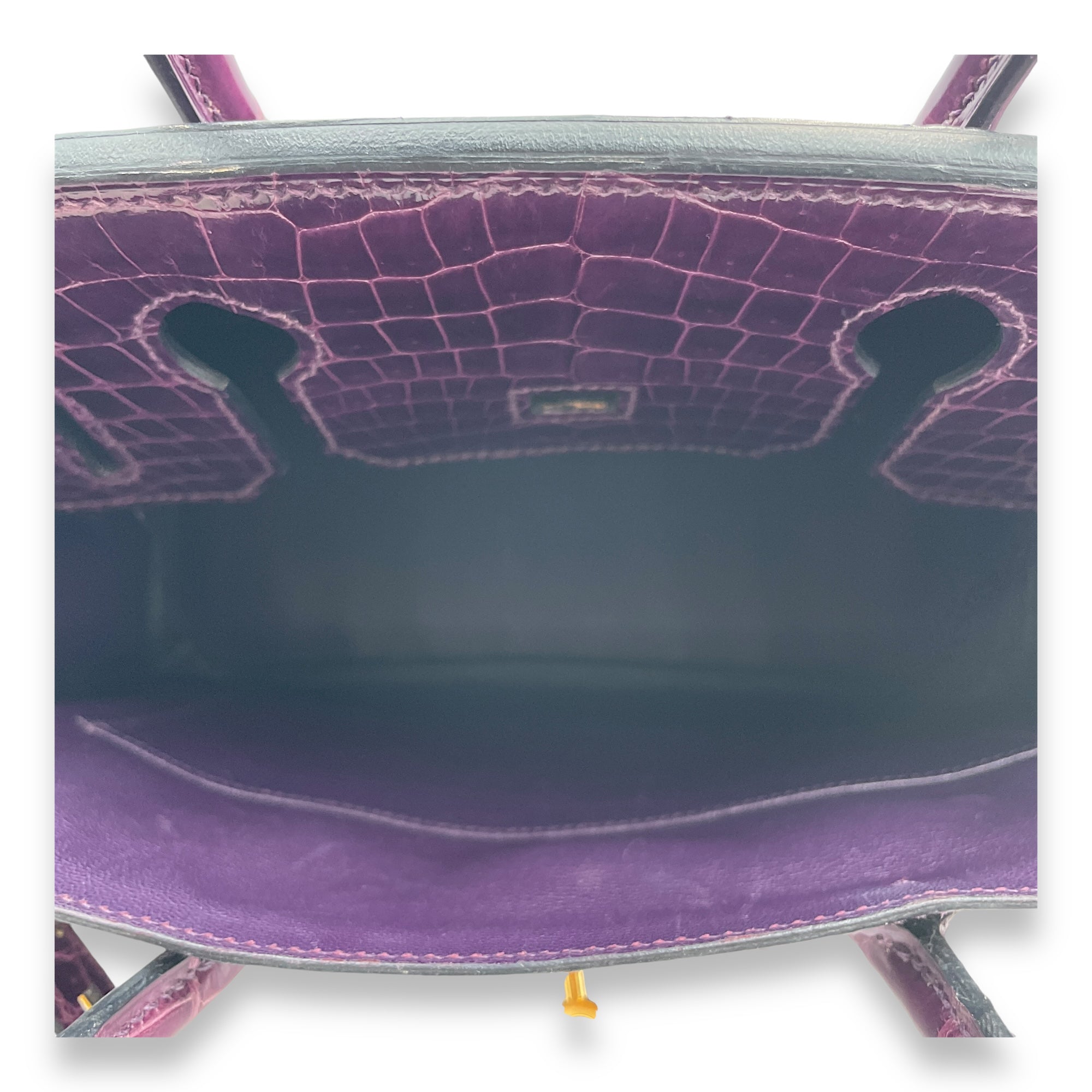 Birkin 30 Purple in Shiny Niloticus Gold hardware