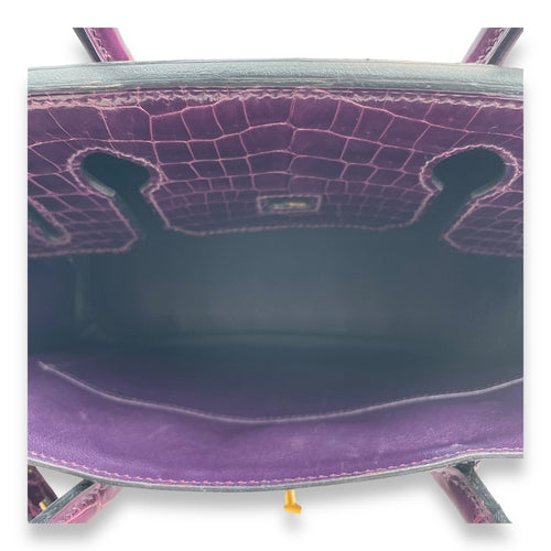 Birkin 30 Purple in Shiny Niloticus Gold hardware