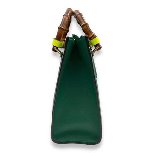 Diana Small 27x24x11cm Green Shoulder Bag in Boar leather, bamboo handle, Gold hardware