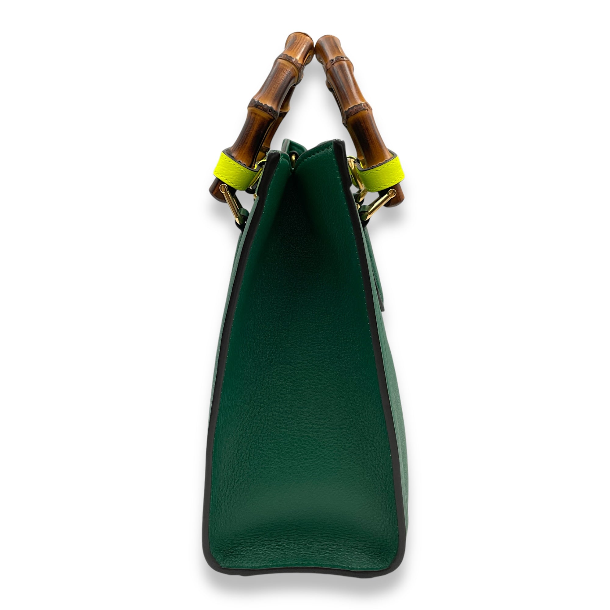 Diana Small 27x24x11cm Green Shoulder Bag in Boar leather, bamboo handle, Gold hardware