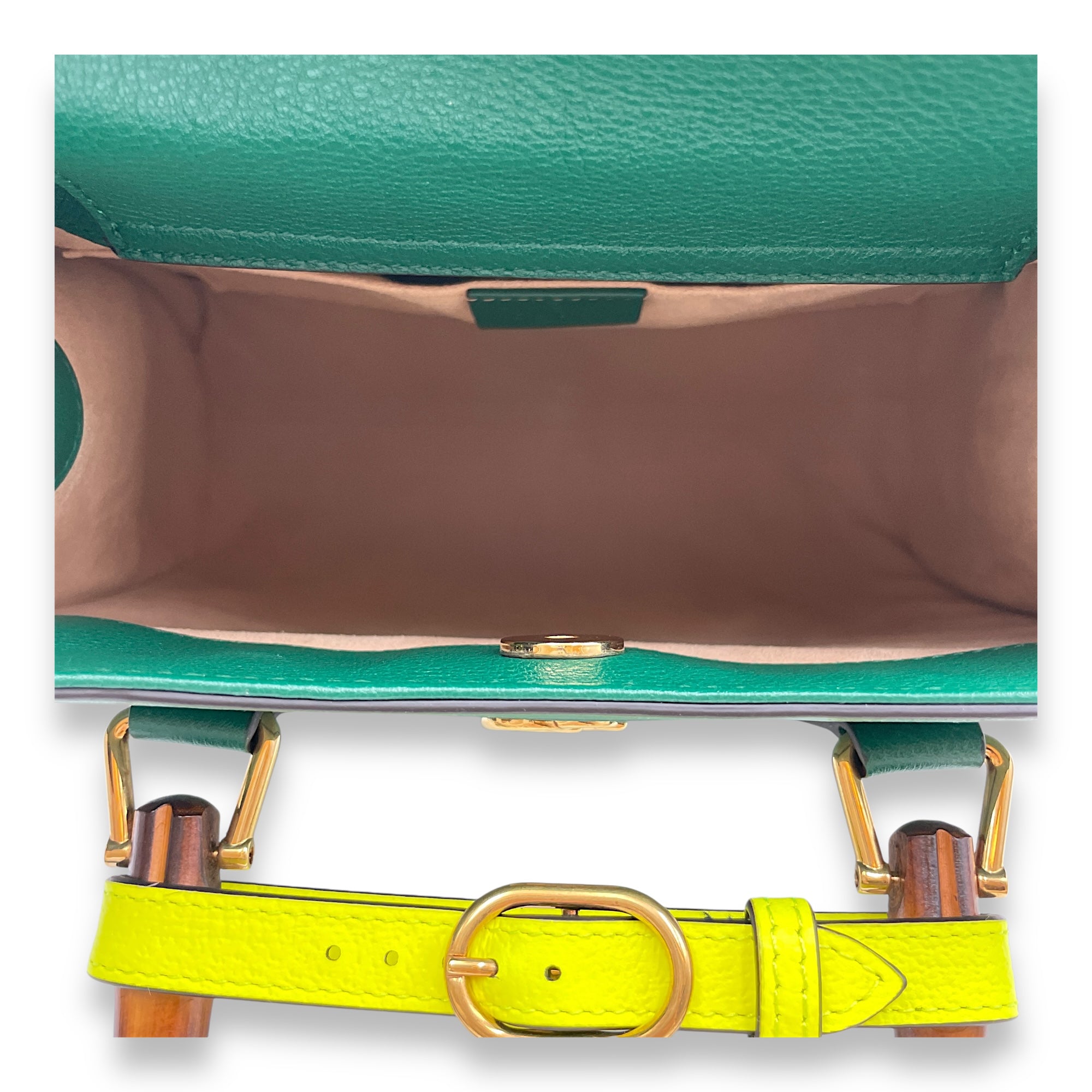 Diana Small 27x24x11cm Green Shoulder Bag in Boar leather, bamboo handle, Gold hardware