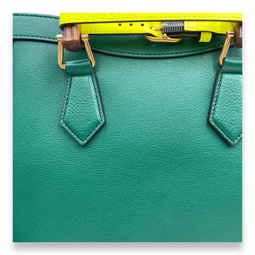 Diana Small 27x24x11cm Green Shoulder Bag in Boar leather, bamboo handle, Gold hardware