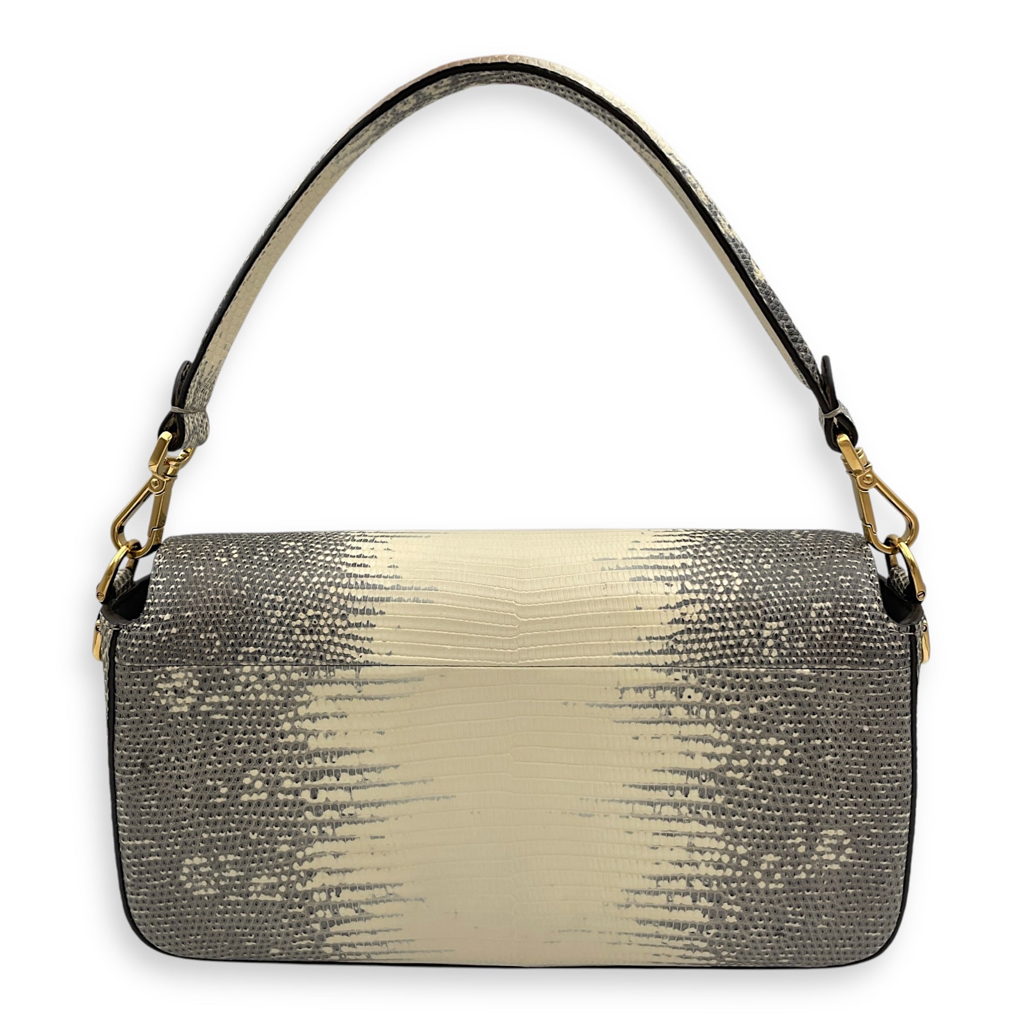 Medium Baguette 27x14x6cm Multi-colour Shoulder Bag in Lizard Varanus Salvator, Gold hardware