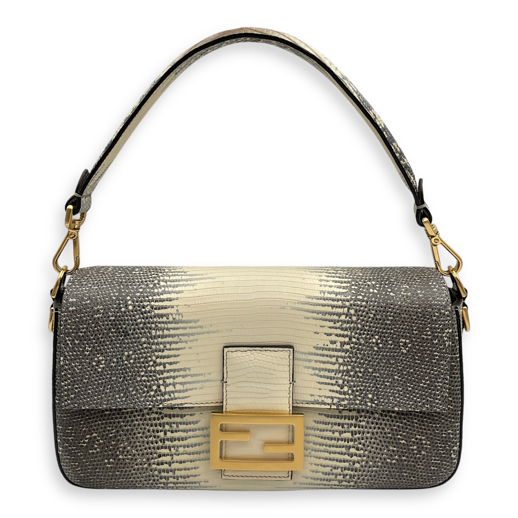 Medium Baguette 27x14x6cm Multi-colour Shoulder Bag in Lizard Varanus Salvator, Gold hardware