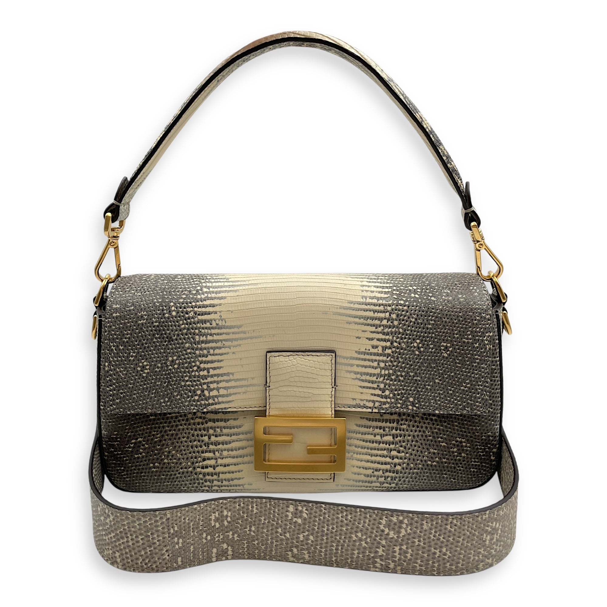 Medium Baguette 27x14x6cm Multi-colour Shoulder Bag in Lizard Varanus Salvator, Gold hardware