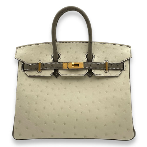 Birkin Touch 30 Beton in Togo/Matte Alligator, Gold hardware