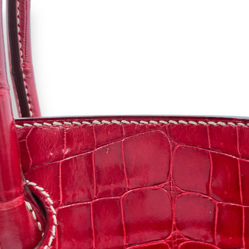 Birkin 30 Rouge  in Shiny Niloticus Palladium hardware