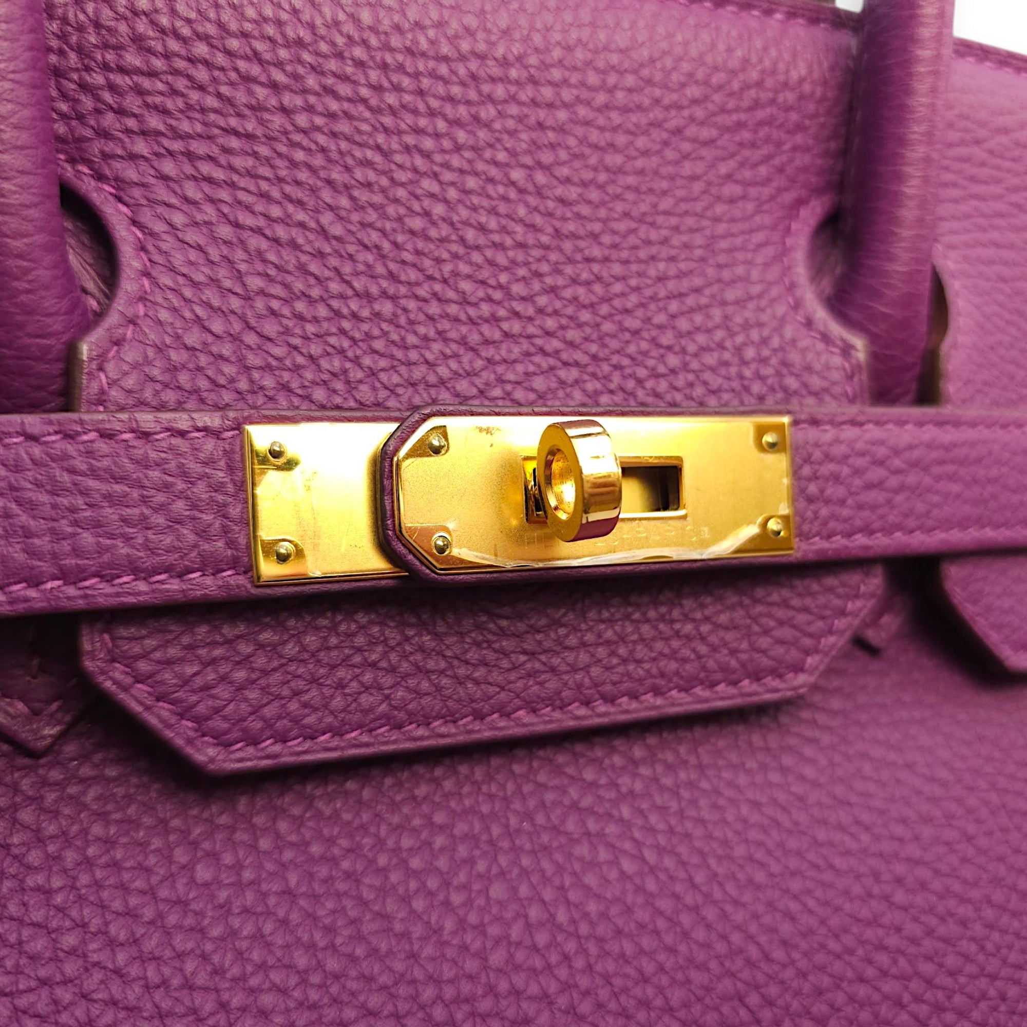 Birkin 30 Anemone in Togo, Gold hardware