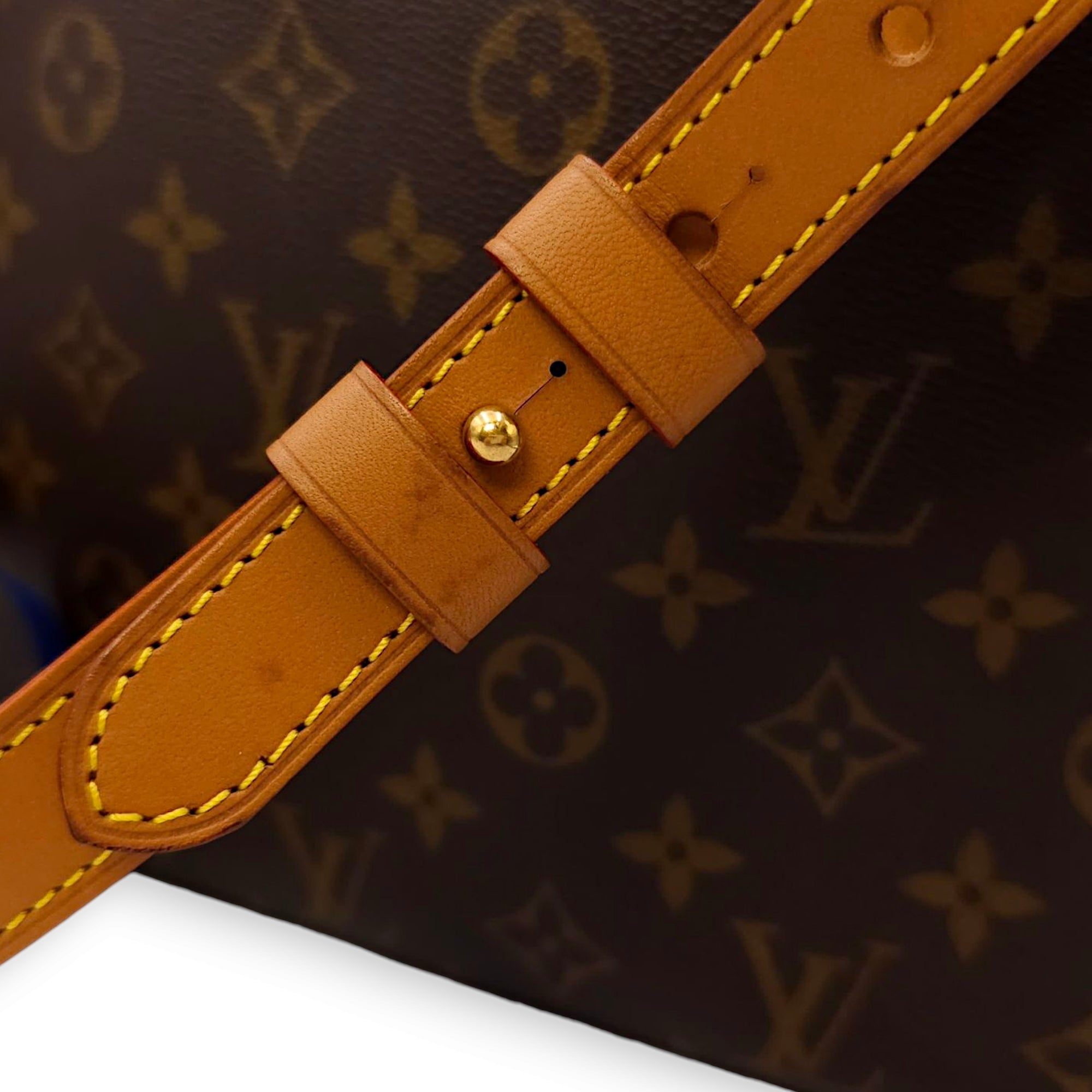 Soft Trunk PM Brown Crossbody Bag in Canvas, Calf, Gold hardware
